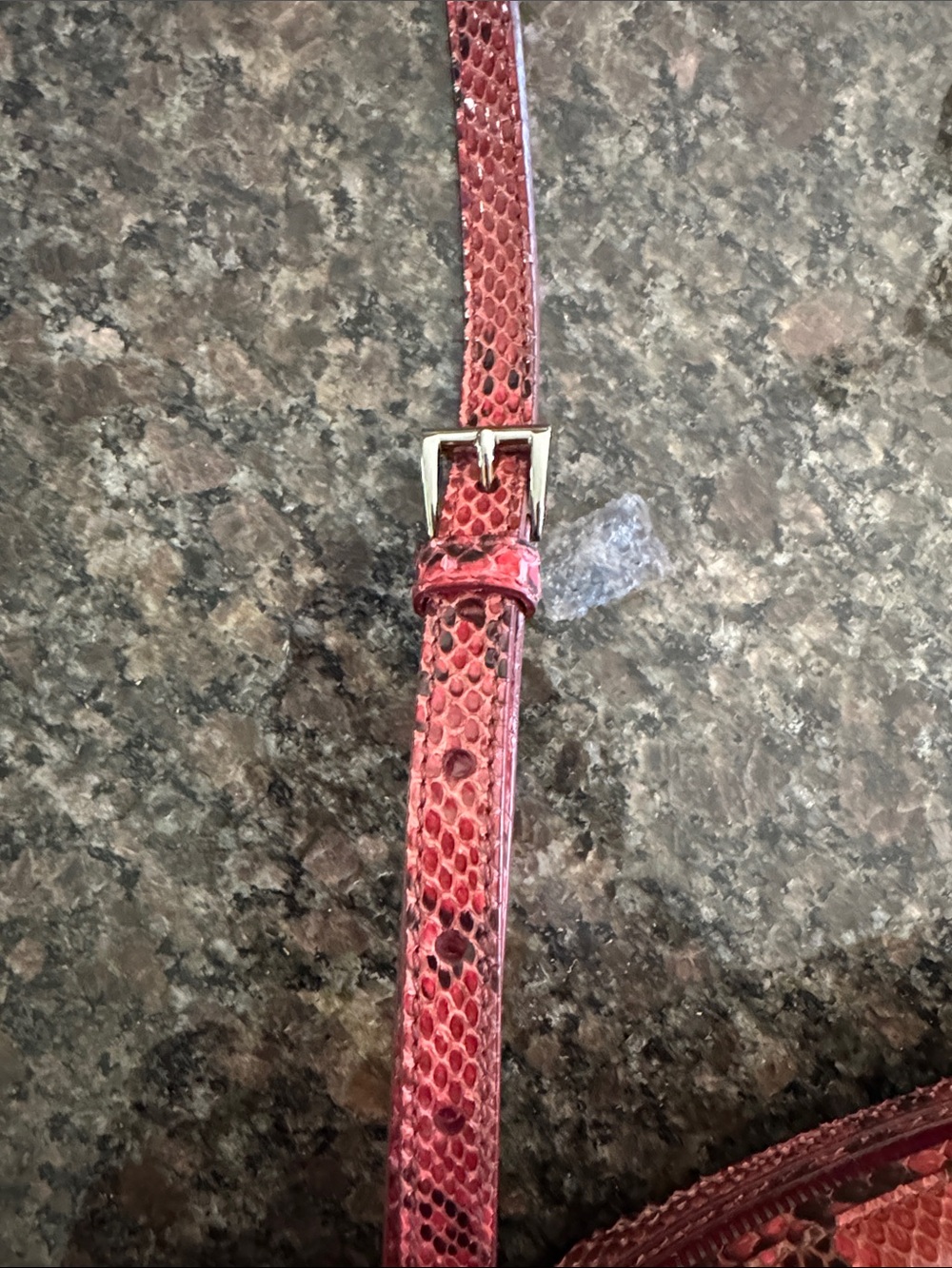 Prada Python Crossbody Bag - Picture 4 of 16